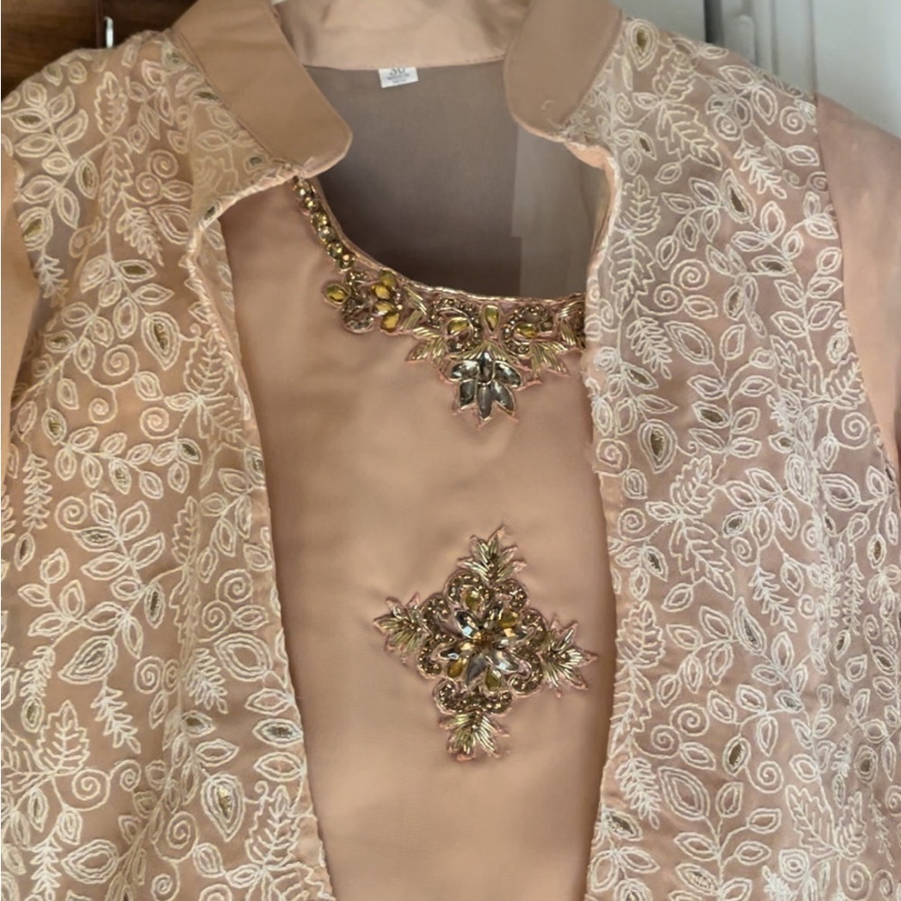 Indian party or wedding dress